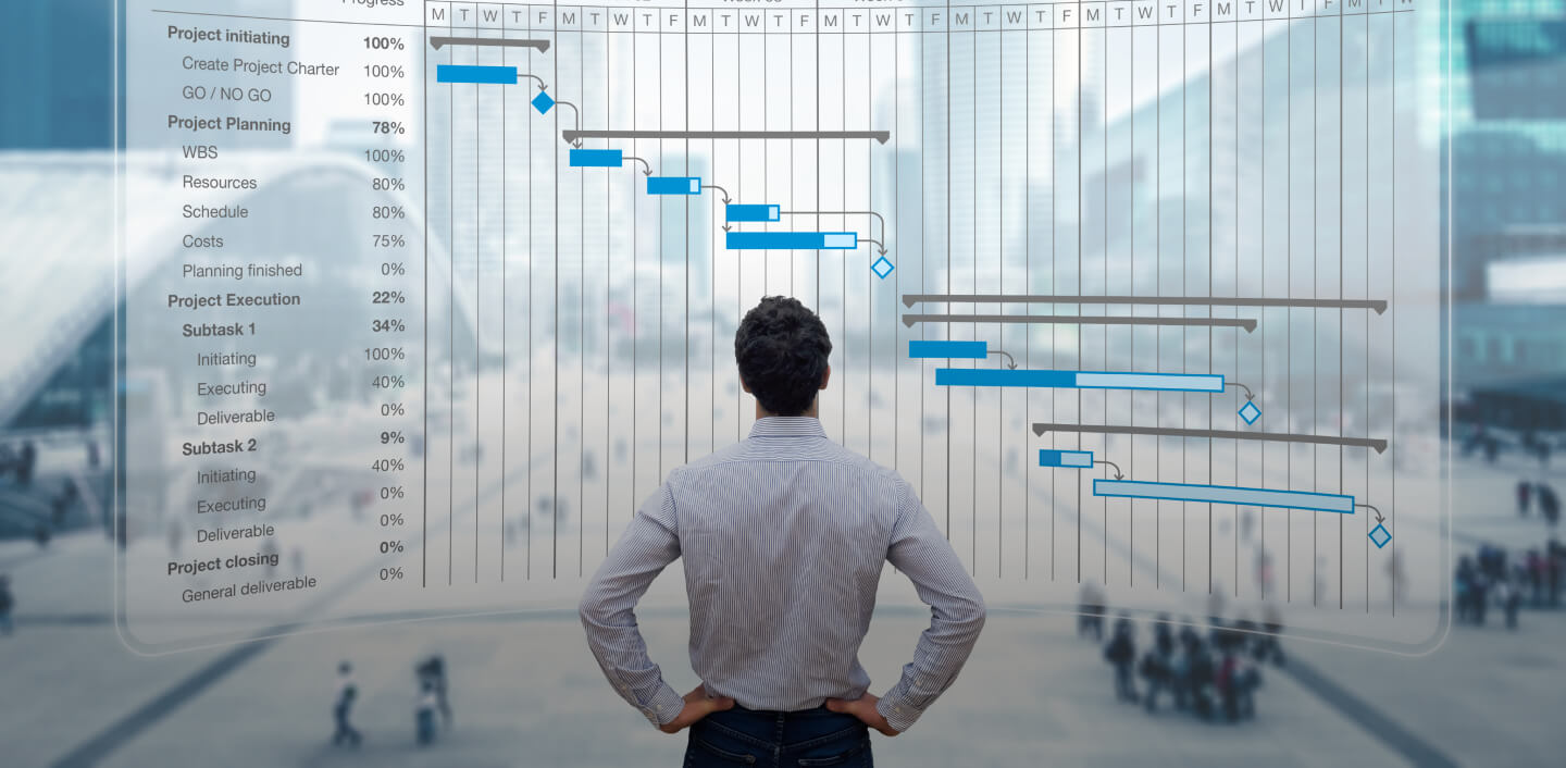 Program Management & Outsourcing